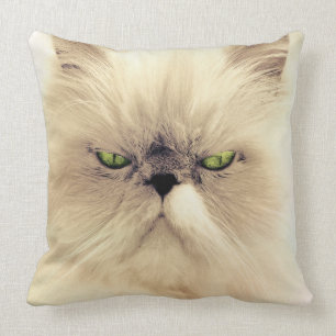 Coussin Chat Perse Blanc Oeil Vert