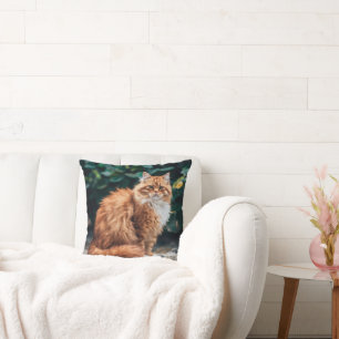 Coussin Chat perse orange
