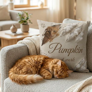 Coussin Chat personnalisé au travail Photo à gratter