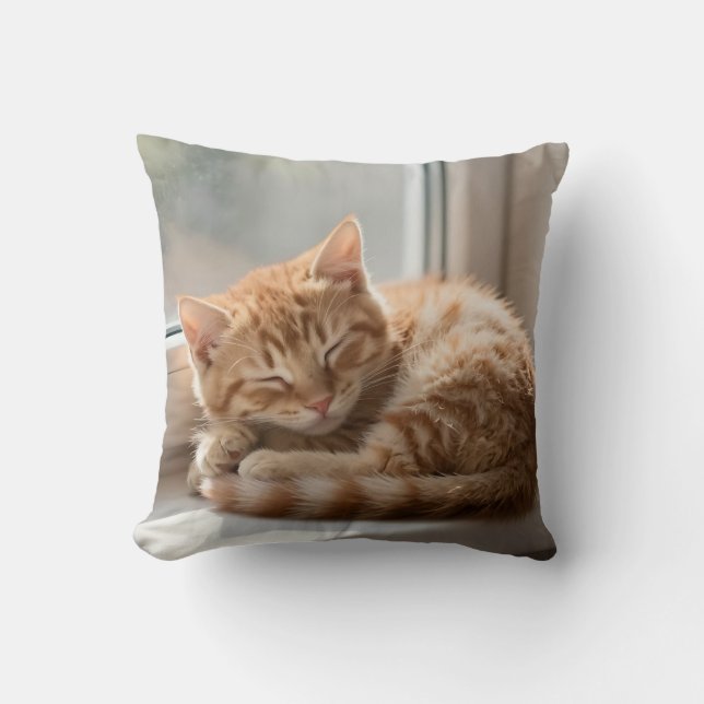 Coussin Chat roux confortable faisant une sieste au soleil (Recto)
