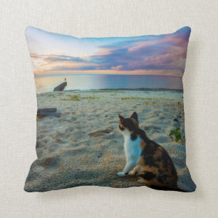 Coussin Chat se reposant sur une plage
