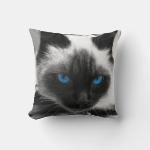 Coussin Chat siamois