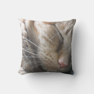 Coussin Chat Tabby Orange