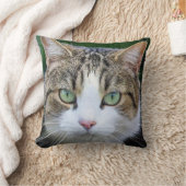 Coussin chat tacheté blanc - amateurs de photos de chat (Couverture)
