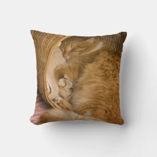 Coussin Chat tigré orange dormant dans un panier