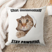 Coussin Chat Vectoriel Cool avec Lunettes de Soleil – fun (Couverture)