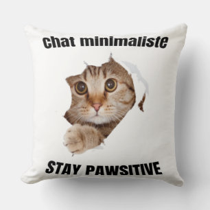 Coussin Chat Vectoriel Cool avec Lunettes de Soleil – fun