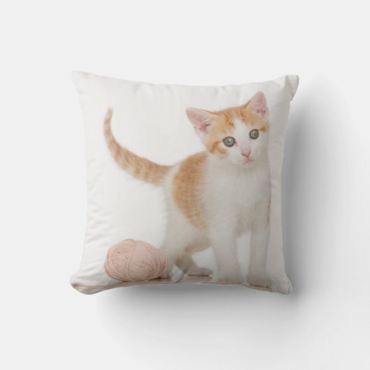 Coussin Chaton à côté de boule de ficelle (Recto)