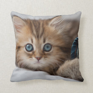 Coussin Chaton avec des yeux bleus