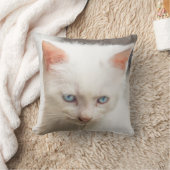 Coussin Chaton blanc (Couverture)