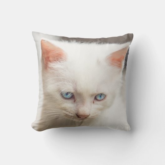 Coussin Chaton blanc (Recto)