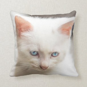 Coussin Chaton blanc