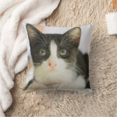 Coussin Chaton blanc et noir doux (Couverture)