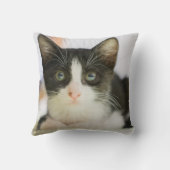 Coussin Chaton blanc et noir doux (Verso)