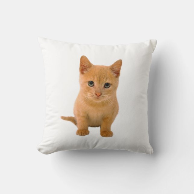Coussin Chaton - carreau (Recto)