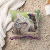 Coussin Chaton dans un panier (Couverture)