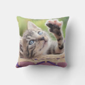 Coussin Chaton dans un panier (Verso)