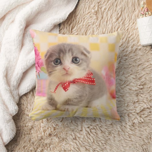 Coussin Chaton de Munchkin (Couverture)