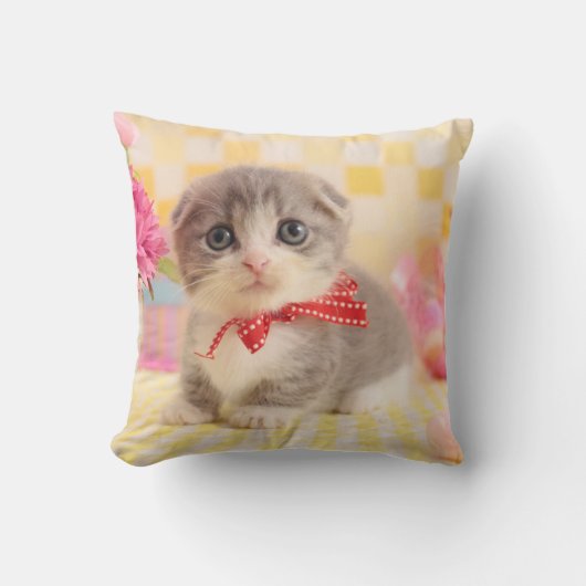 Coussin Chaton de Munchkin (Recto)