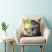 Coussin Chaton de Ragdoll (Chaise)