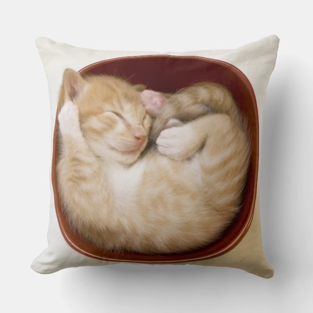 Coussin Chaton de sommeil (Recto)