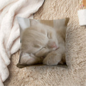 Coussin Chaton de sommeil (Couverture)
