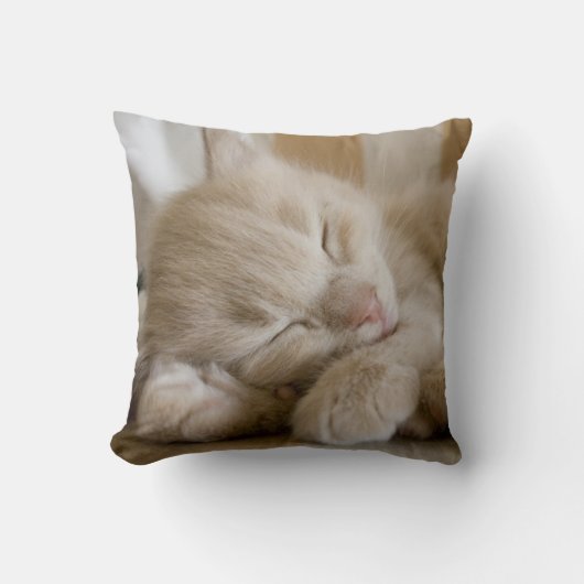 Coussin Chaton de sommeil (Recto)