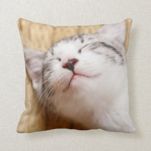 Coussin Chaton de sommeil