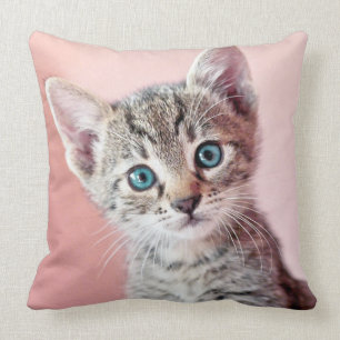 Coussin Chaton mignon avec les yeux bleus