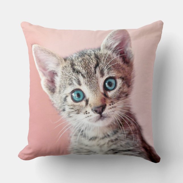 Coussin Chaton mignon avec les yeux bleus (Recto)