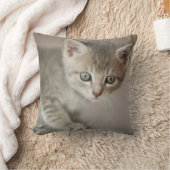 Coussin Chaton minuscule (Couverture)