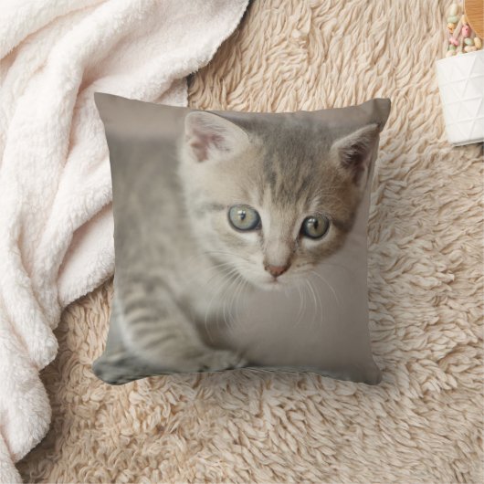 Coussin Chaton minuscule (Couverture)