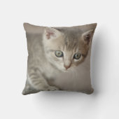 Coussin Chaton minuscule (Verso)