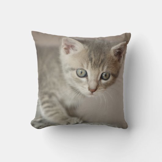 Coussin Chaton minuscule (Recto)