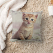 Coussin Chaton minuscule de gingembre (Couverture)
