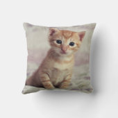 Coussin Chaton minuscule de gingembre (Verso)