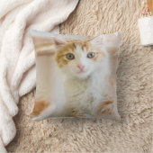 Coussin Chaton orange et blanc (Couverture)