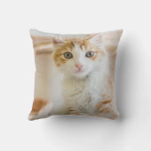Coussin Chaton orange et blanc (Verso)
