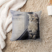 Coussin Chaton regardant la fenêtre (Couverture)