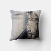 Coussin Chaton regardant la fenêtre (Verso)