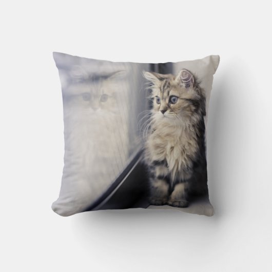 Coussin Chaton regardant la fenêtre (Recto)