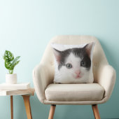Coussin Chaton repéré par noir (Chaise)