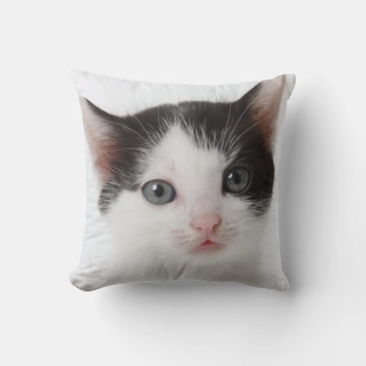 Coussin Chaton repéré par noir (Recto)