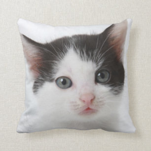Coussin Chaton repéré par noir
