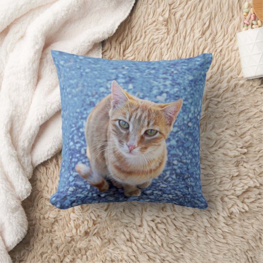 Coussin Chaton rouge mignon sur bleu (Couverture)