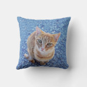 Coussin Chaton rouge mignon sur bleu (Verso)