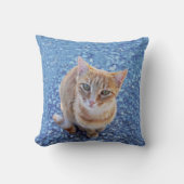 Coussin Chaton rouge mignon sur bleu (Recto)