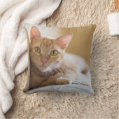 Coussin Chaton se trouvant sur le divan (Couverture)