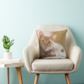 Coussin Chaton se trouvant sur le divan (Chaise)