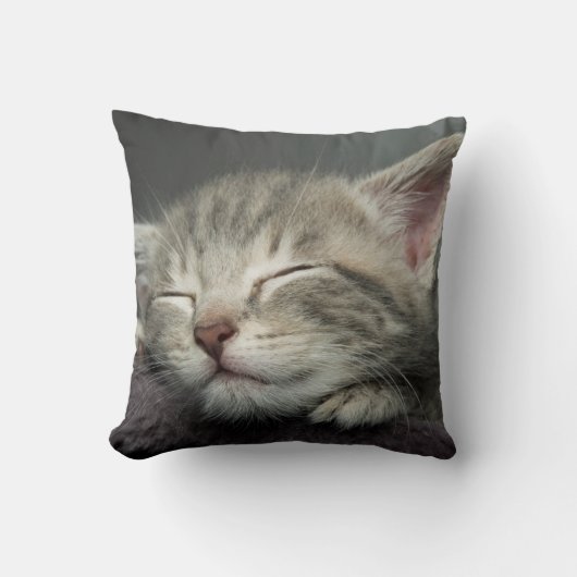 Coussin Chaton somnolent (Recto)